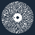 radialbreakup.7.gif (4784 octets)